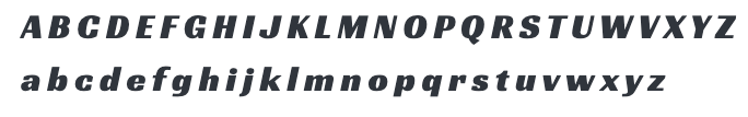 Racing Sans One - lettertype Lief & Koester